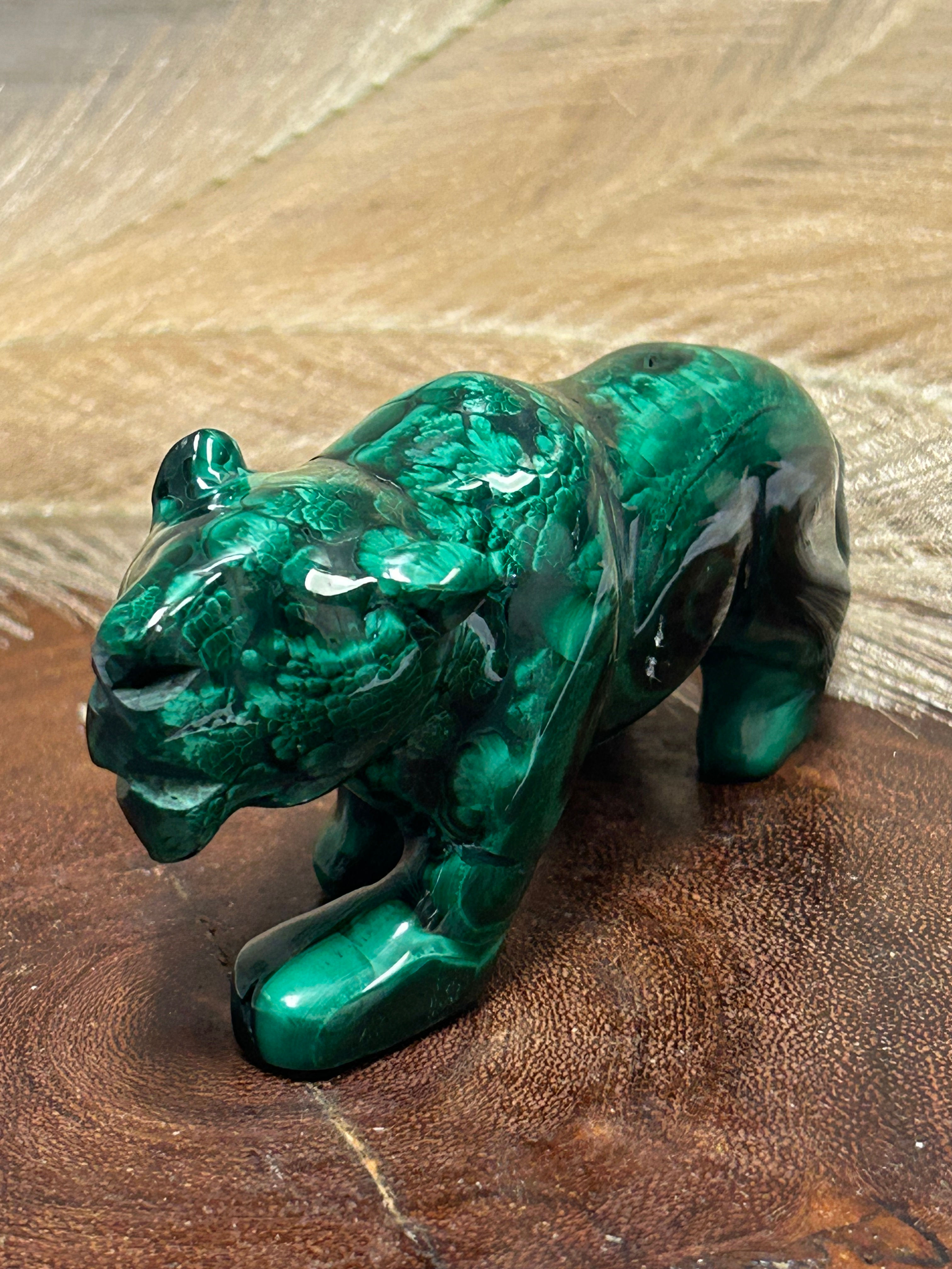 Malachite Tiger