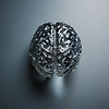 Top Down Brain.png