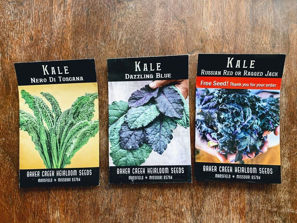 three different kale variety seed packets