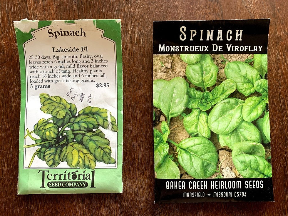 two varieties of spinach seed packets