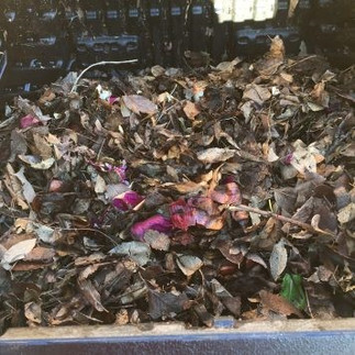 garden debris and kitchen scraps together inside a compost tumbler