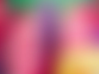 gladioli packaging. Image by Gwynne Middleton