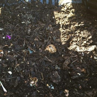 compost at mid-point in decomposition