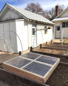 Cold frame is constructed and placed over the garden bed before finished. Image by Gwynne Middleton