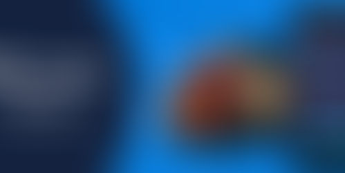 Cara Mendapatkan Uang Dari Internet, hanya dengan Memiliki Tronton