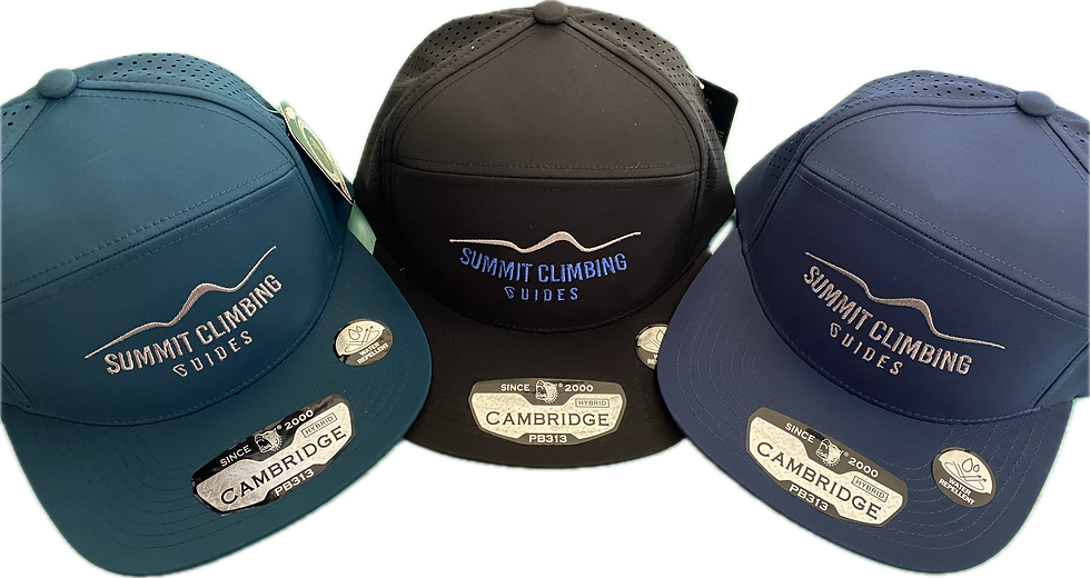 Summit Climbing Guides