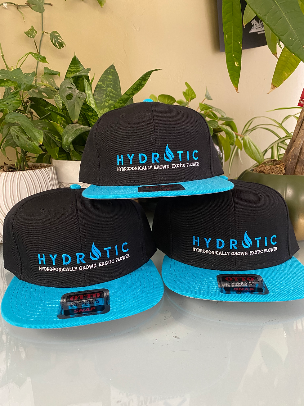 Hydrotic