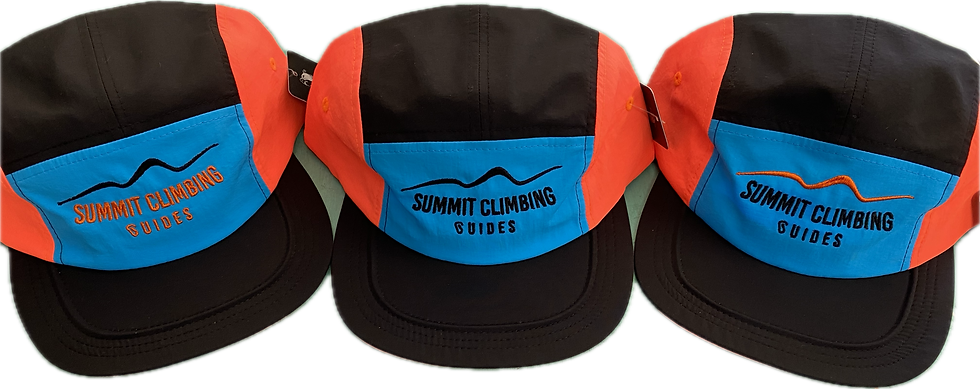 Summit Climbing Guides