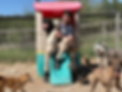 RyanWebsitePhoto.png
