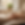 Gemini_Generated_Image_dcgqdkdcgqdkdcgq.png