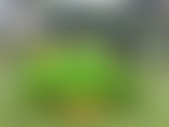 Чемпіонату області з футболу для юнаків U11.