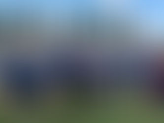 Чемпіонат України з регбі