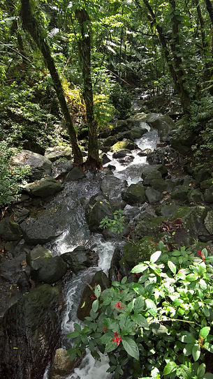 El Yunque waterfall