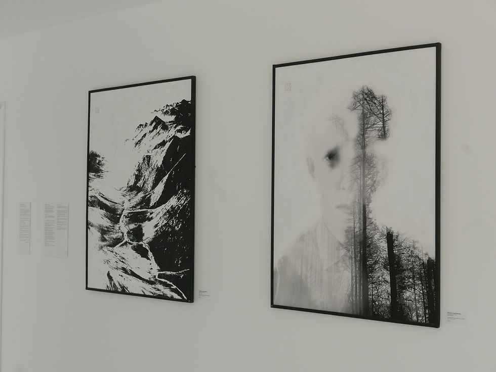 Miniature : Au-delà des Montagnes - Gérard Lucian Ricard