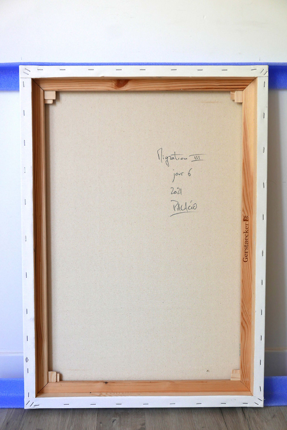 Miniature : Migration III, jour 6 - Patrice Palacio