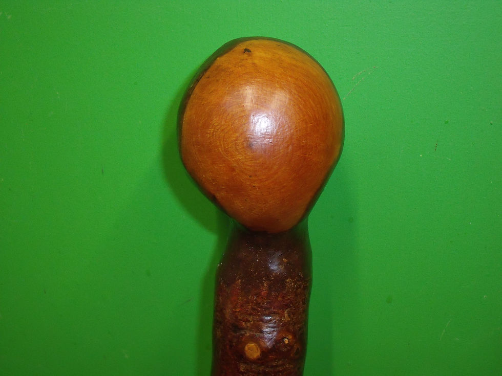 DSCF9976