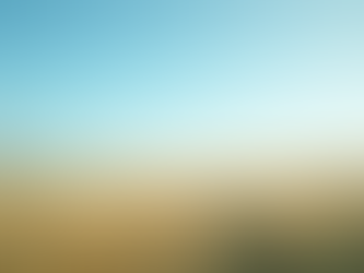 Solutions personnalisées pour votre mutuelle d'assurance