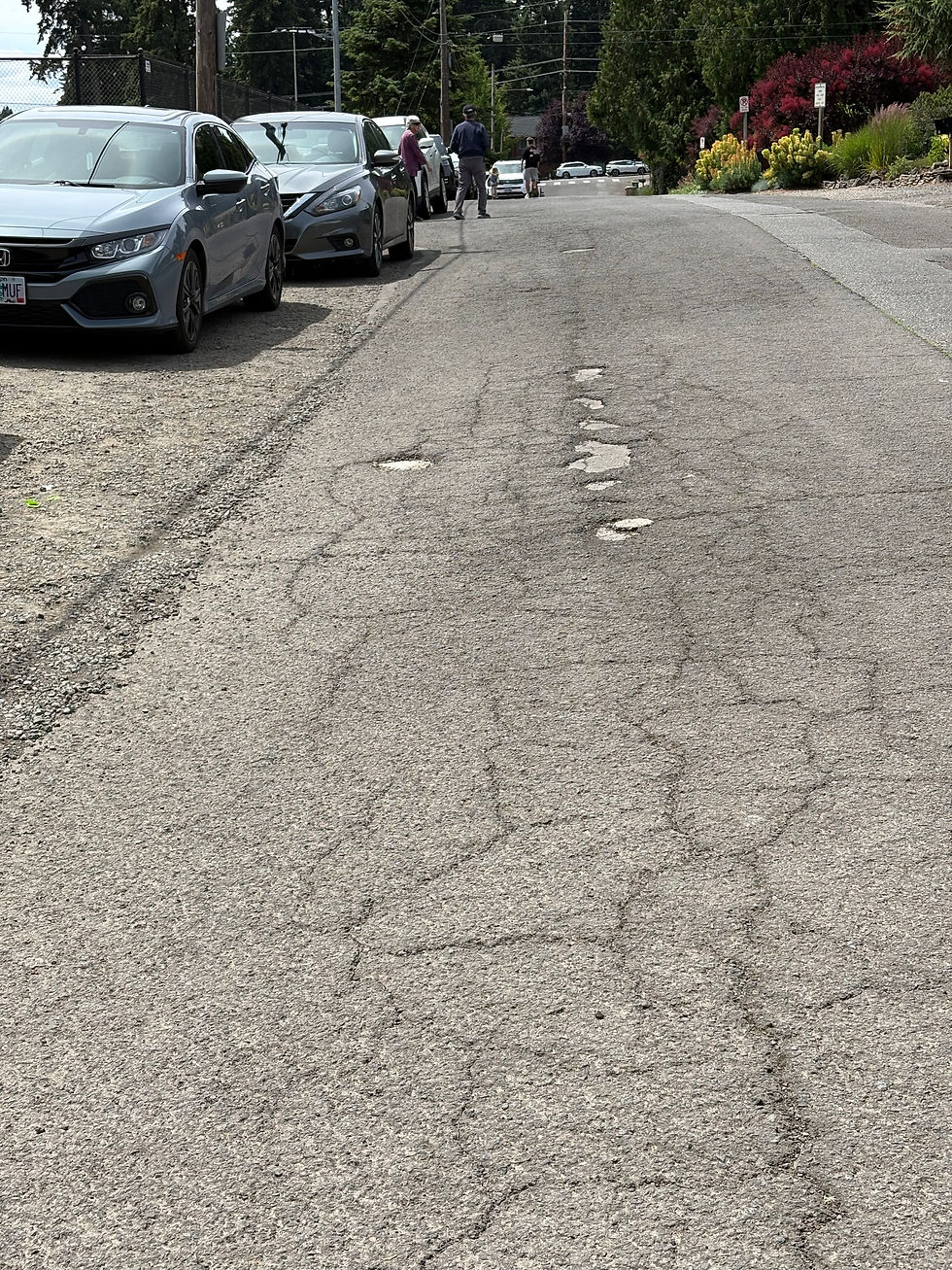 Ladd Street which is directly adjacent to the George Rogers Park fields, tennis courts, picnic area and playground badly needs to be resurfaced and the water erosion that happens professionally dealt with