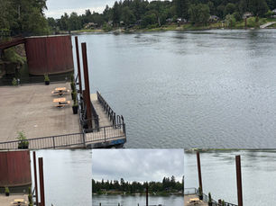 Best Paddle Board Launch in Lake Oswego: Why Locals Choose Roehr Park