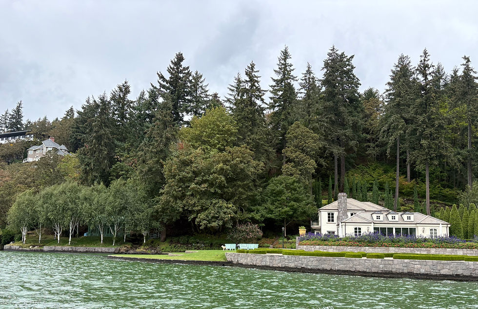 This is a photo of the rest of the property which includes a guest house, pool, little beach and the green solarium hidden behind the trees on the left. it's all spectacular!