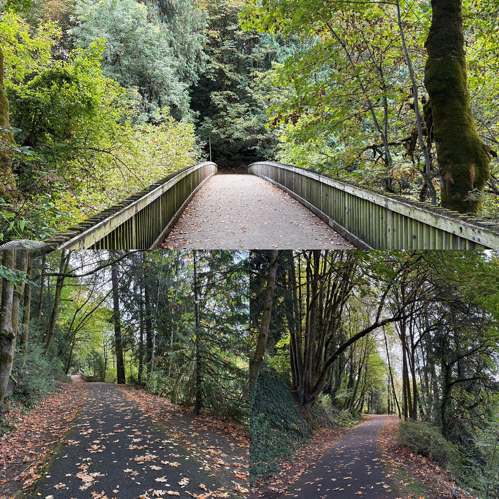 My favorite walk in Lake Oswego