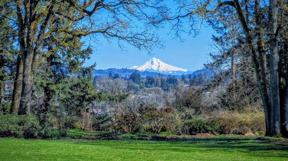 Incredible views from Elk Rock Garden