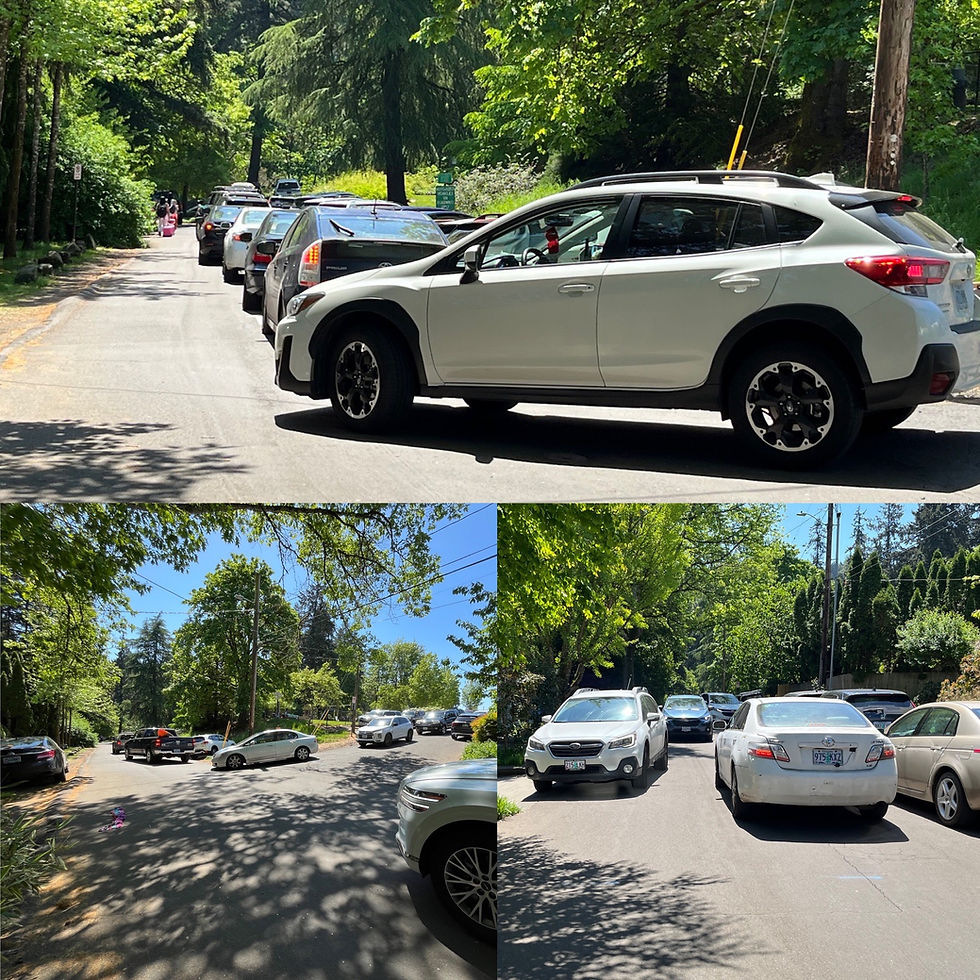 These photos were taken Sunday May 3, 2026 of visitors backing up to get into GRP from Furnace Street with people parking on both sides of Furnace and cars also driving through, along with people walking in the middle of the street plus cyclists using Furnace Street as their access to GRP and the pathway to Old River