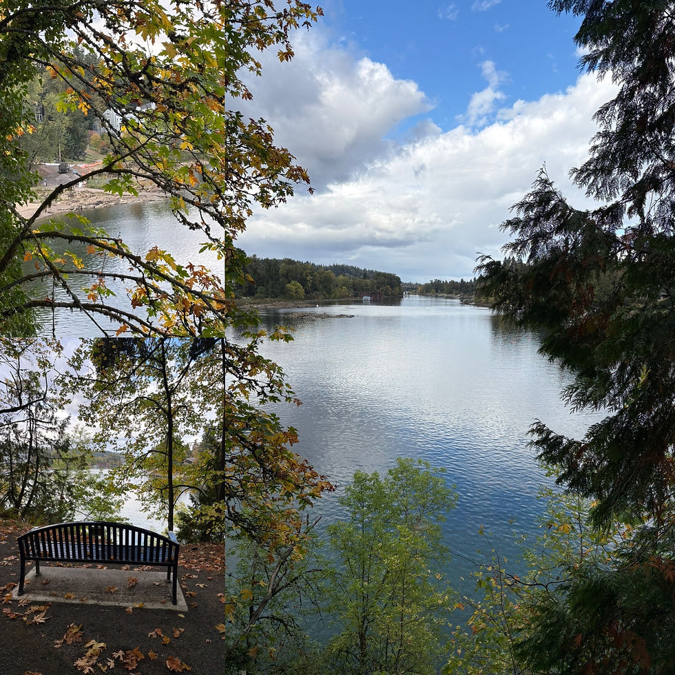 This pathway connecting Old River Road to George Rogers has such beautiful views