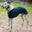 Thumbnail: Green Classic Whippet Waxed Cotton Coat.