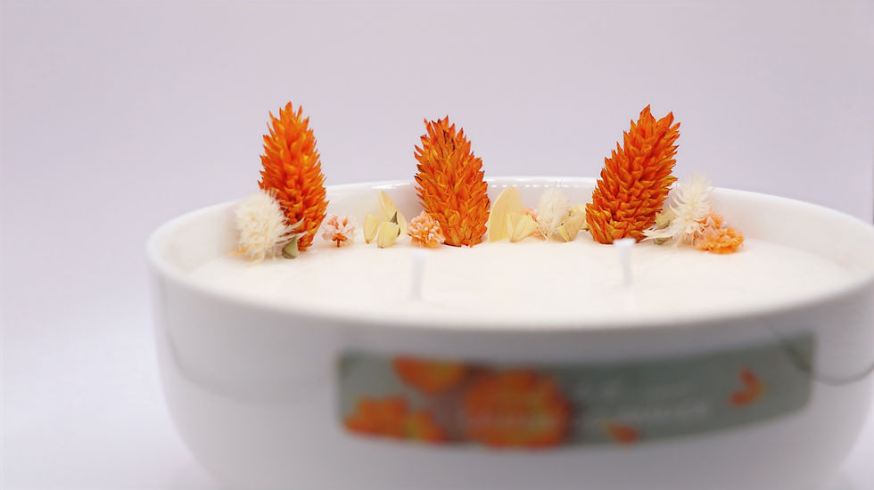 Miniaturbild: ORANGENBLÜTE