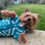 Thumbnail: Green Aztec Jumper