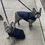 Thumbnail: French Bulldog Rain Coat