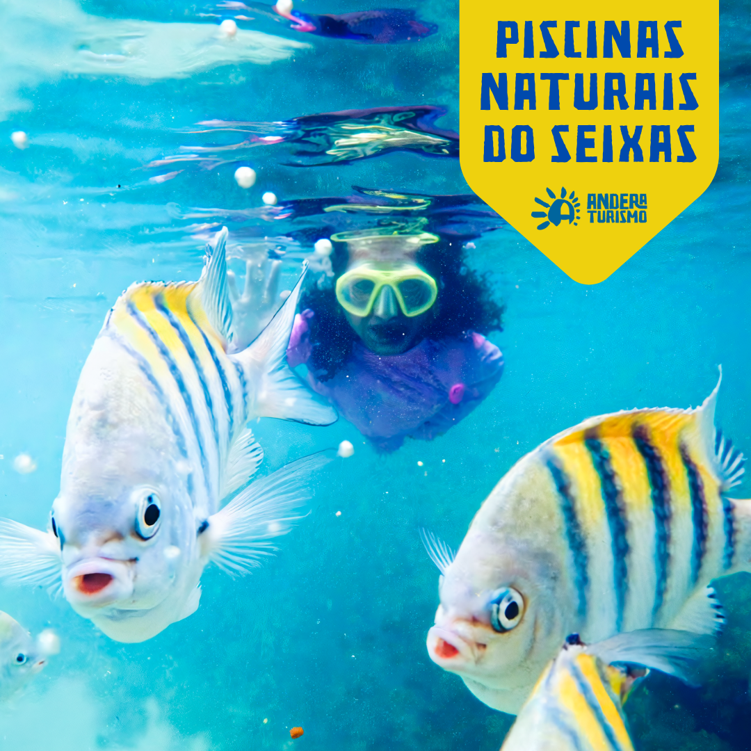 Piscinas Naturais do Seixas
