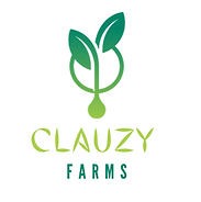 clauzy_orig.png
