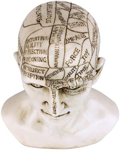Thumbnail: Small Phrenology Head