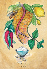 Thumbnail: Anatomy of a Witch Oracle