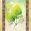 Thumbnail: Celtic Tree Oracle "Huathe Hawthorn" Card