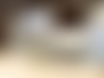 The importance of fire safety in equestrian premises