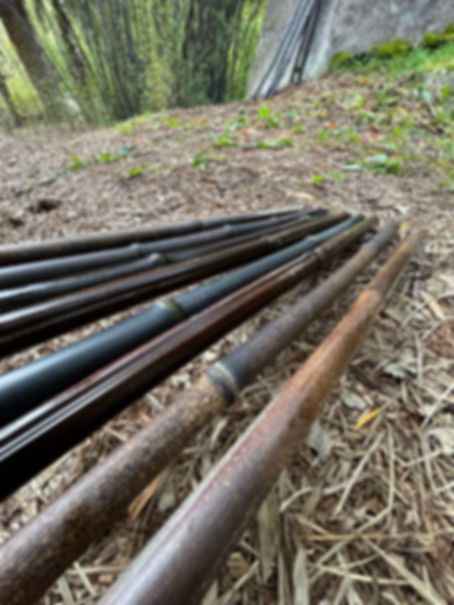 Black Bamboo 6feet - 10 Pack Bundle