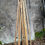 Thumbnail: Bamboo -10 Pack Bundle of 6ft Canes - Can ship!