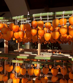 Hoshigaki Rack.jpg