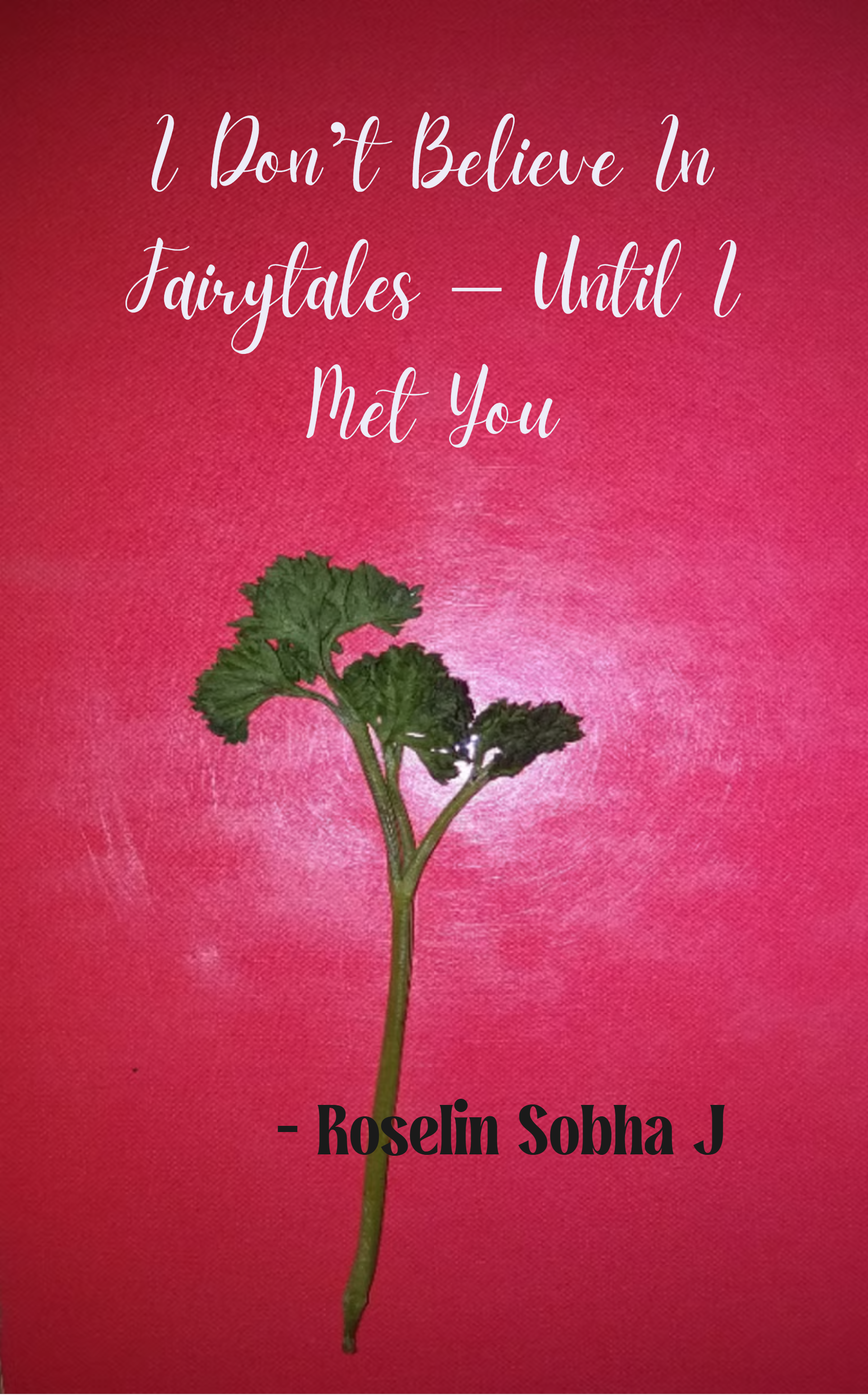 I Don’t Believe In Fairytales – Until I Met You