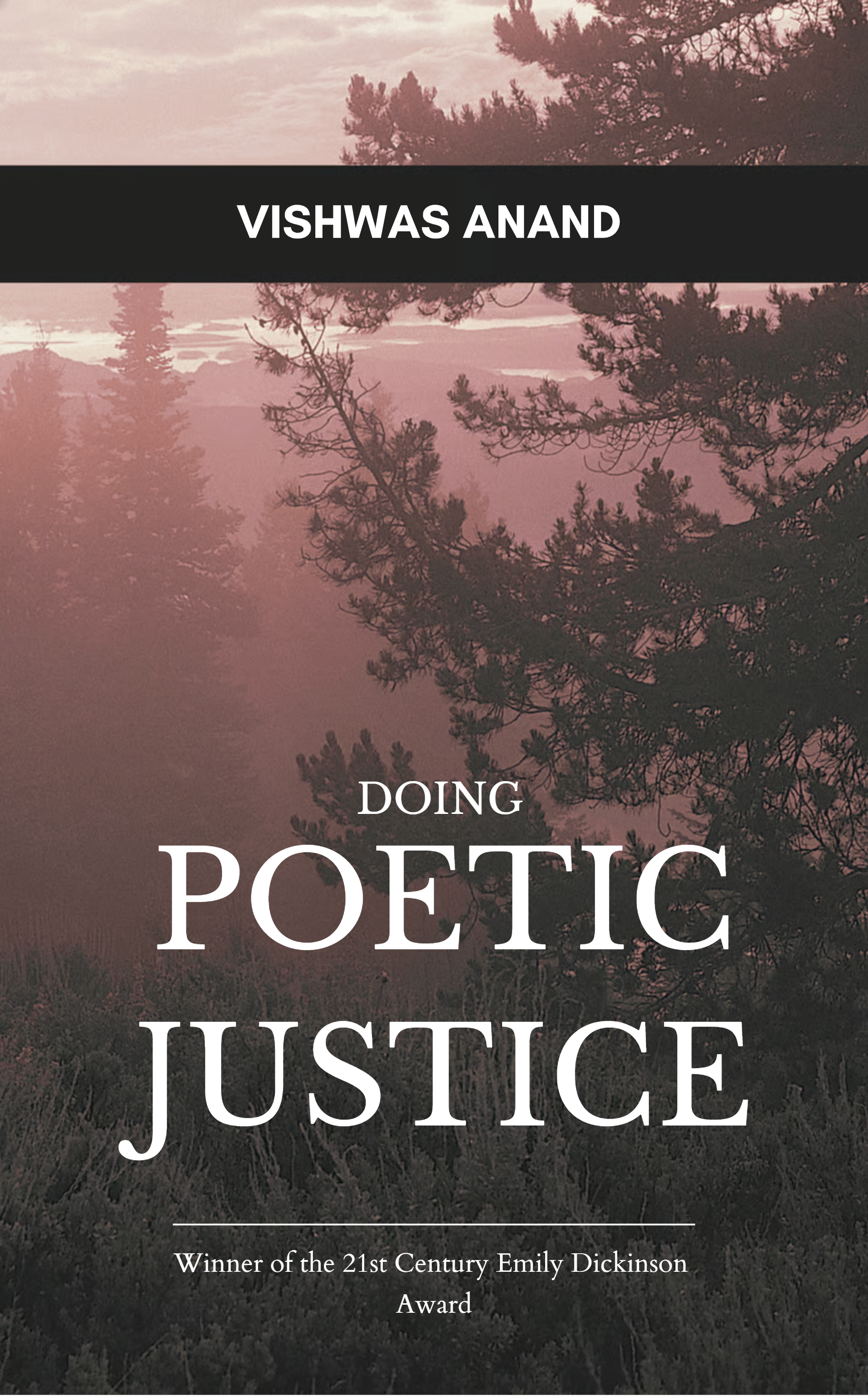 Doing Poetic Justice