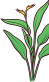 Plant_edited.png