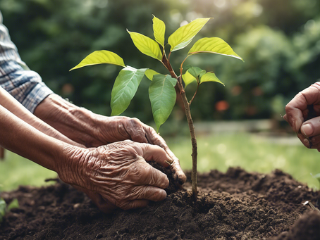 Advancing Intergenerational Relationships: The SPIRIT Project’s Impact