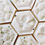 Thumbnail: IVORY PATCHOULI