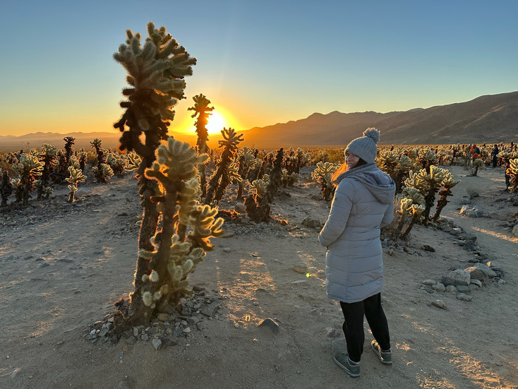 A woman stands in front of a cactus wearing a winter parka and hat. A sunrise illuminates a garden of cactuses in the background.