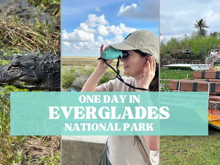 One Day in Everglades National Park: The Ultimate Itinerary & Travel Guide