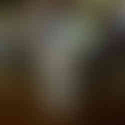 The famous Green Alligator at Irish Kevin's in Key West, Florida