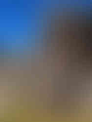 Outfit I wore at Sacsayhuaman in Cusco, Peru